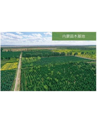 标题：苗木基地
浏览次数：2036
发表时间：2020-10-17
