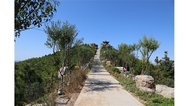 标题：张家口太子山山体修复
浏览次数：18415
发表时间：2020-11-12