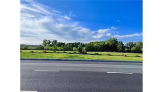 标题：伊利现代智慧健康谷道路绿化建设项目
浏览次数：1561
发表时间：2023-11-07